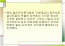엘리트이론에 대한 비판 4페이지