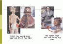 21세기 패션의 미적 범주 유형PPt 13페이지
