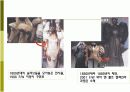 21세기 패션의 미적 범주 유형PPt 15페이지