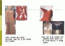 21세기 패션의 미적 범주 유형PPt 16페이지