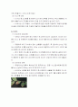 집과 주변 환경의 안전 8페이지
