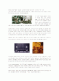 [디자인]2009 인테리어 디자인 전망(A+리포트) 3페이지