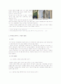 허가방 건축의 부정적 영향과 그 이면의 가능성에 대한 고찰 4페이지
