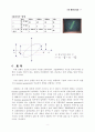 [기초 물리학 실험] Oscilloscope 실험 8페이지