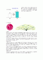LG전자 인도시장 진출 전략(엘지전자) 4페이지