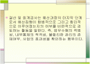 예산결산 및 회계감사 2페이지