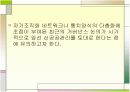 신공공관리와 정책네트워크 4페이지