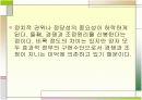 신공공관리와 정책네트워크 간의 비교 4페이지