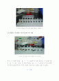 음주 측정의 화학적 검사원리 탐구 및 알콜 분석 16페이지