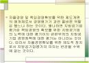 자율경영과 지방공기업평가 3페이지