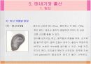 아동발달에 관한 PPT입니다. 14페이지