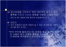 [수학교육]곱셈과 나눗셈에서 기초적 계산 모델화과정 12페이지