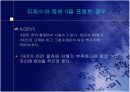 [수학교육]곱셈과 나눗셈에서 기초적 계산 모델화과정 17페이지