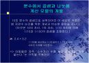 [수학교육]곱셈과 나눗셈에서 기초적 계산 모델화과정 19페이지