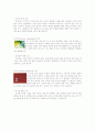 디자인 구성의 기본요소 5페이지
