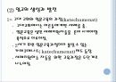 세례와 입교교육의 실제  4페이지