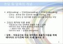 웨이블릿 압축(멀티미디어) 3페이지