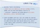 신화적 인간관과 교육.PPT자료 4페이지