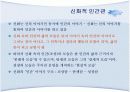 신화적 인간관과 교육.PPT자료 7페이지