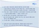신화적 인간관과 교육.PPT자료 8페이지