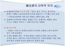 신화적 인간관과 교육.PPT자료 10페이지