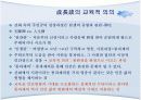 신화적 인간관과 교육.PPT자료 12페이지