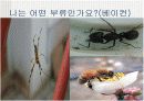 청소년문화에 관한 모든것.PPT자료 5페이지