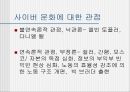 청소년문화에 관한 모든것.PPT자료 21페이지