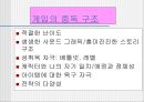 청소년문화에 관한 모든것.PPT자료 29페이지