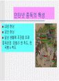 청소년문화에 관한 모든것.PPT자료 30페이지