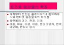 청소년문화에 관한 모든것.PPT자료 33페이지