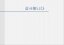 청소년문화에 관한 모든것.PPT자료 76페이지