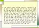 초고속인터넷 사업의 주목할 만한 특징  4페이지