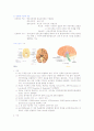 신경계에 대한 고찰 1페이지