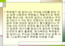 원자로와 원자폭탄 2페이지