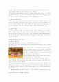 시설보호사업 및 공동생활가정사업 13페이지