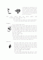 피어싱(piercing)에 대해 5페이지