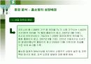 GS홈쇼핑의 마케팅과 전략분석 11페이지
