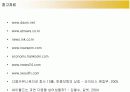 다음(DAUM)커뮤니케이션의 다각화전략 19페이지