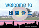 국제경영학적으로 접근한 네덜란드 1페이지