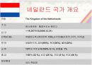 국제경영학적으로 접근한 네덜란드 5페이지