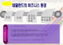국제경영학적으로 접근한 네덜란드 12페이지