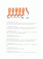 쇄골골절 케이스 스터디 4페이지