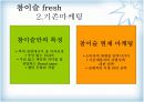 진로 참이슬 fresh의 마케팅 전략 4페이지