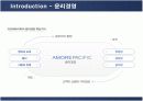 태평양 아모레퍼시픽(AMORE PACIFIC)의 마케팅전략 6페이지