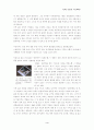 [영화를 활용한 수업계획안] - 영화 속에 나타난 과학적 개념 & 오개념을 활용한 과학수업계획 고안 4페이지