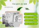 국내 농업의 현황 및 문제점과 향후 전략방안 20페이지