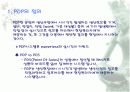 Point of Production 3페이지