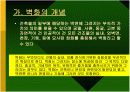 [미술이론]벽화에 대한 고찰 발표 3페이지