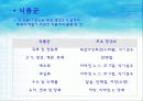 초등학교 실과 영양교육 식품교육 3페이지